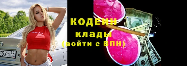 индика Бугульма