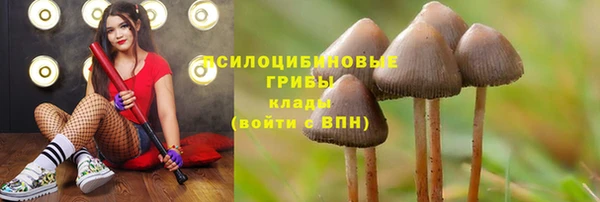 PSILOCYBIN Верея