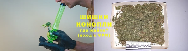 индика Бугульма
