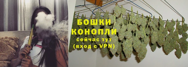 PSILOCYBIN Верея