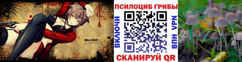 Купить закладки  Нерюнгри  Галлюциногенные грибы ЛСД 